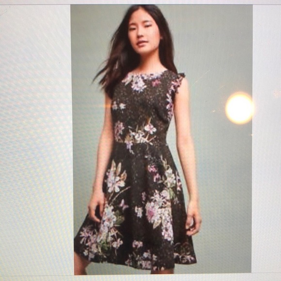 Anthropologie Dresses & Skirts - Dress,00, Anthropologie
